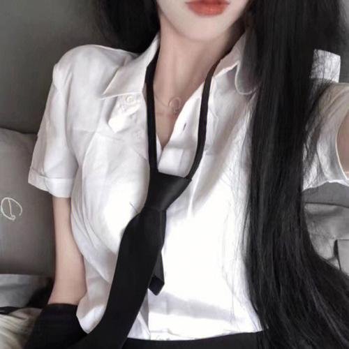 廉政风云 烟幕